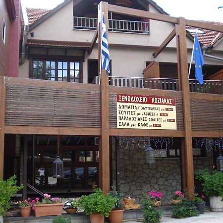 Hotel Koziakas Eláti 외부 사진